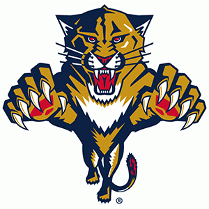 Florida Panthers Shirt